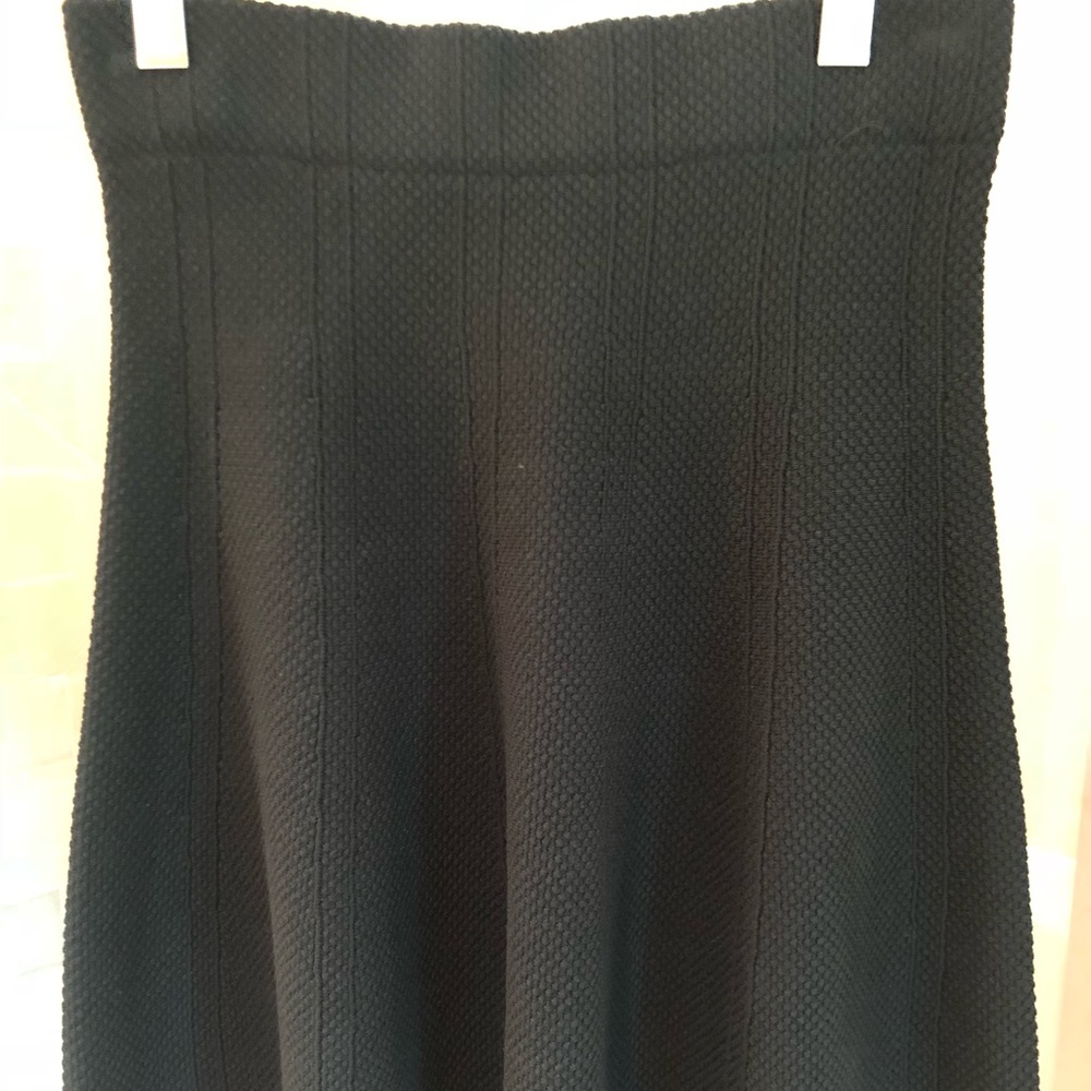 Zara black skirt